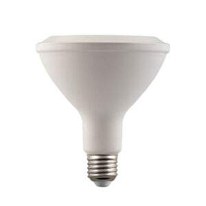 PAR38 13W LED flood light