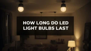 How Long Do LED Light Bulbs Last