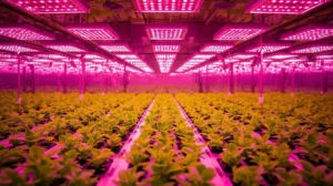 Best Rated LED Plant Grow Lights 2026